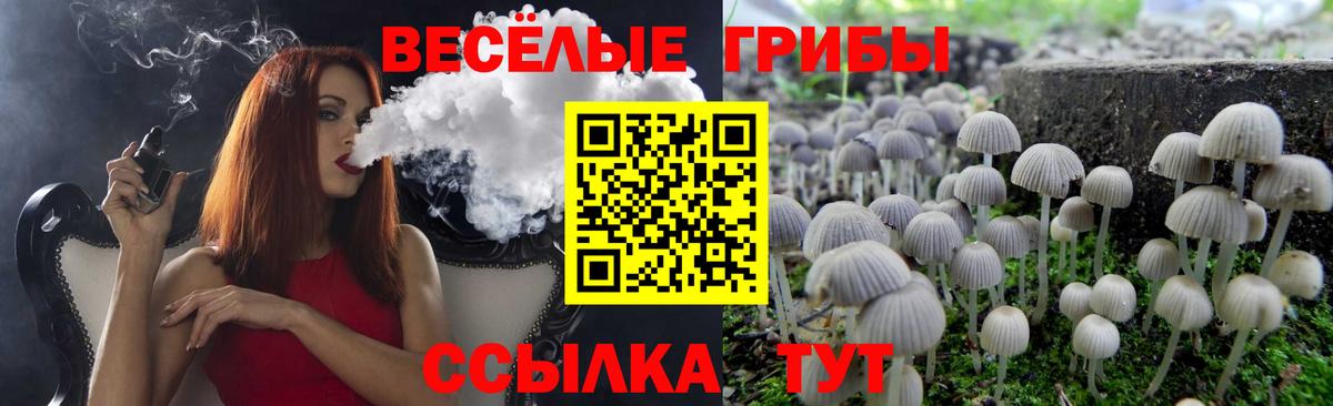 Галлюциногенные грибы Cubensis  Вход с VPN  купить наркотик  Ангарск  Галлюциногенные грибы Cubensis 