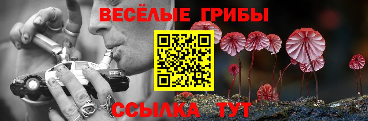 Галлюциногенные грибы MAGIC MUSHROOMS Ангарск